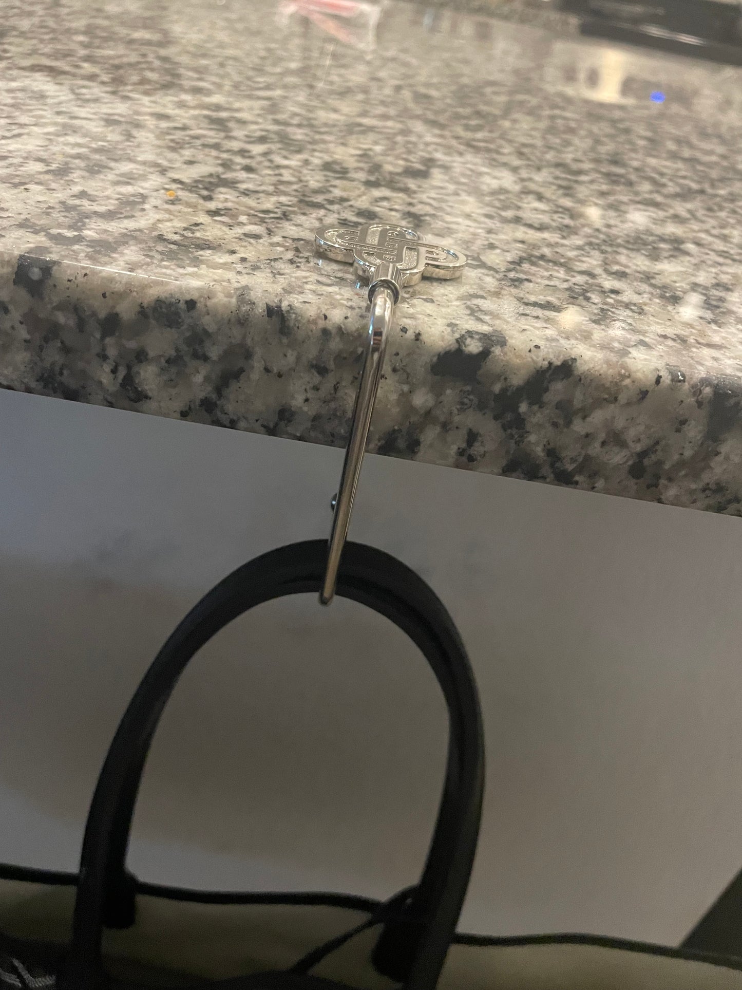 EXCLUSIVE CHICAGO PLANNER CONFERENCE BAG HOLDER - PLEASE READ, ARRIVAL MID SEPTEMBER