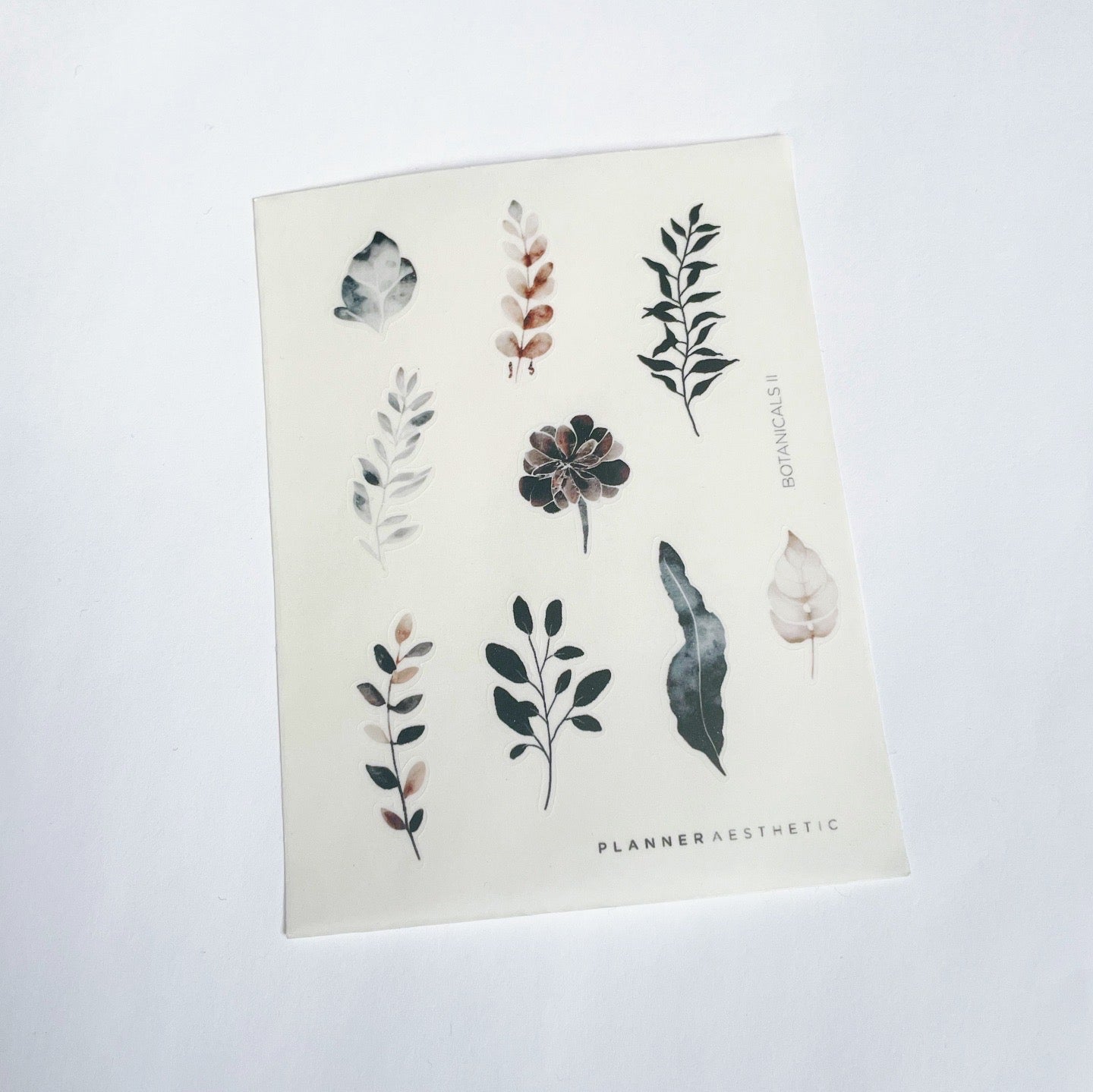 BOTANICALS