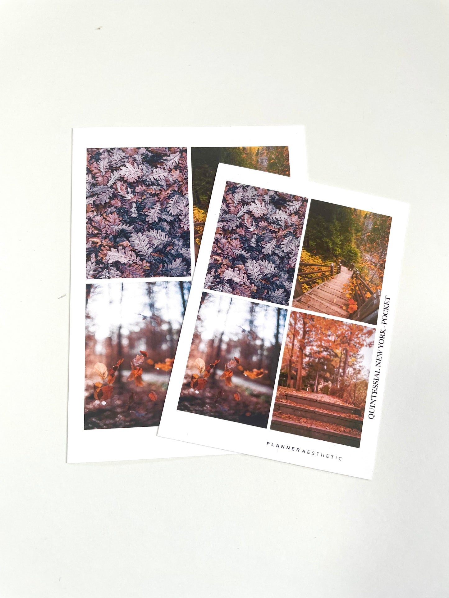 FALLING FOR YOU BOXES