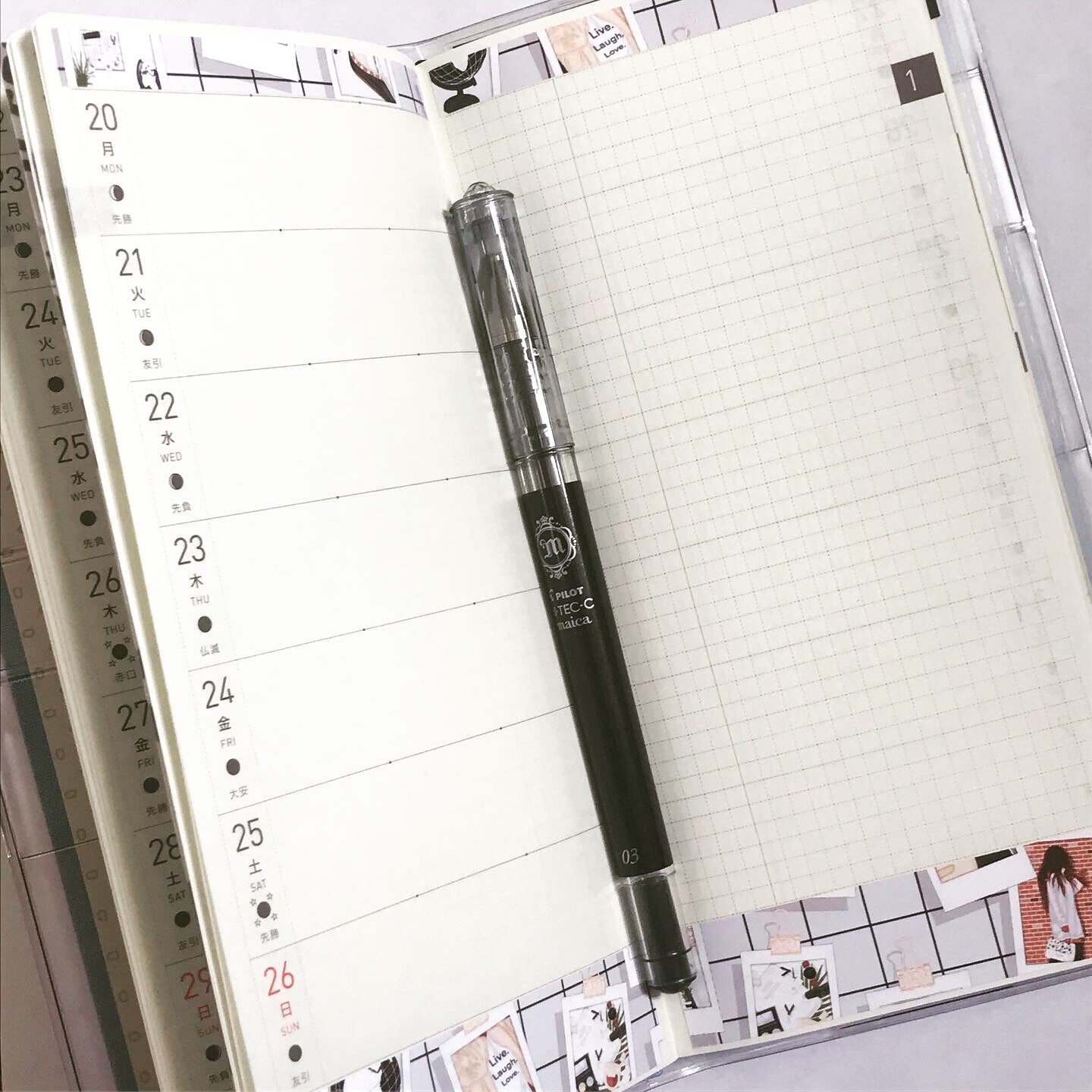 VISION BOARD HOBONICHI WEEKS